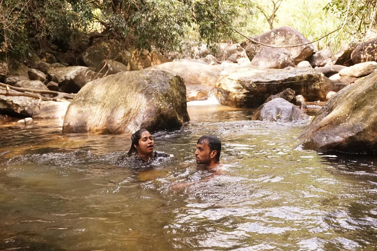 Retiyagama Eco Resort Teldeniya Exteriér fotografie